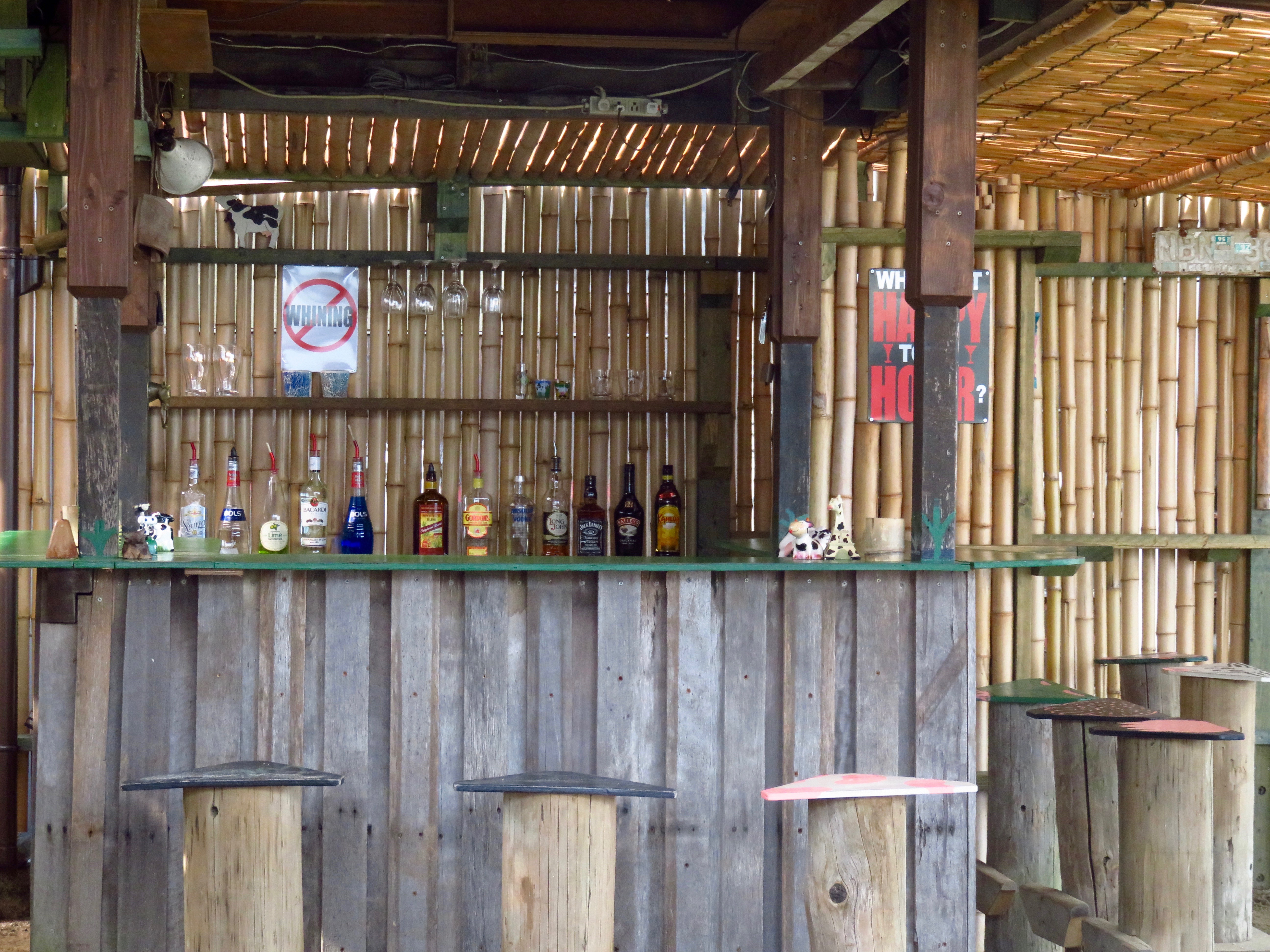 bar2.jpg